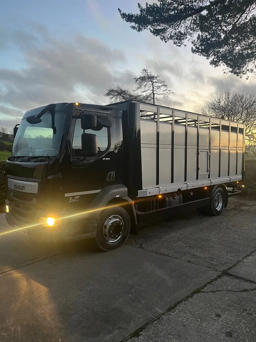Daf LF 230 15 ton cattle lorry - Image 2