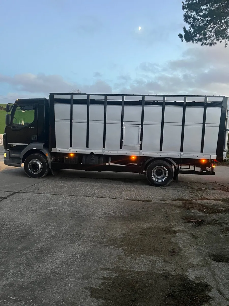 Daf LF 230 15 ton cattle lorry - Image 3