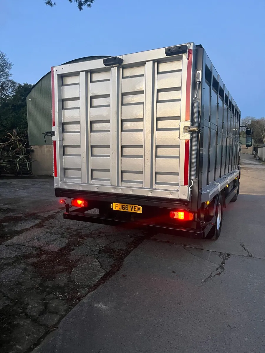 Daf LF 230 15 ton cattle lorry - Image 4