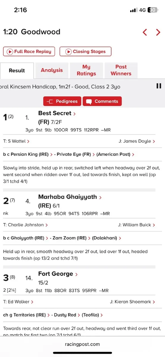 Sister to Group and grade 1 performers - Image 4