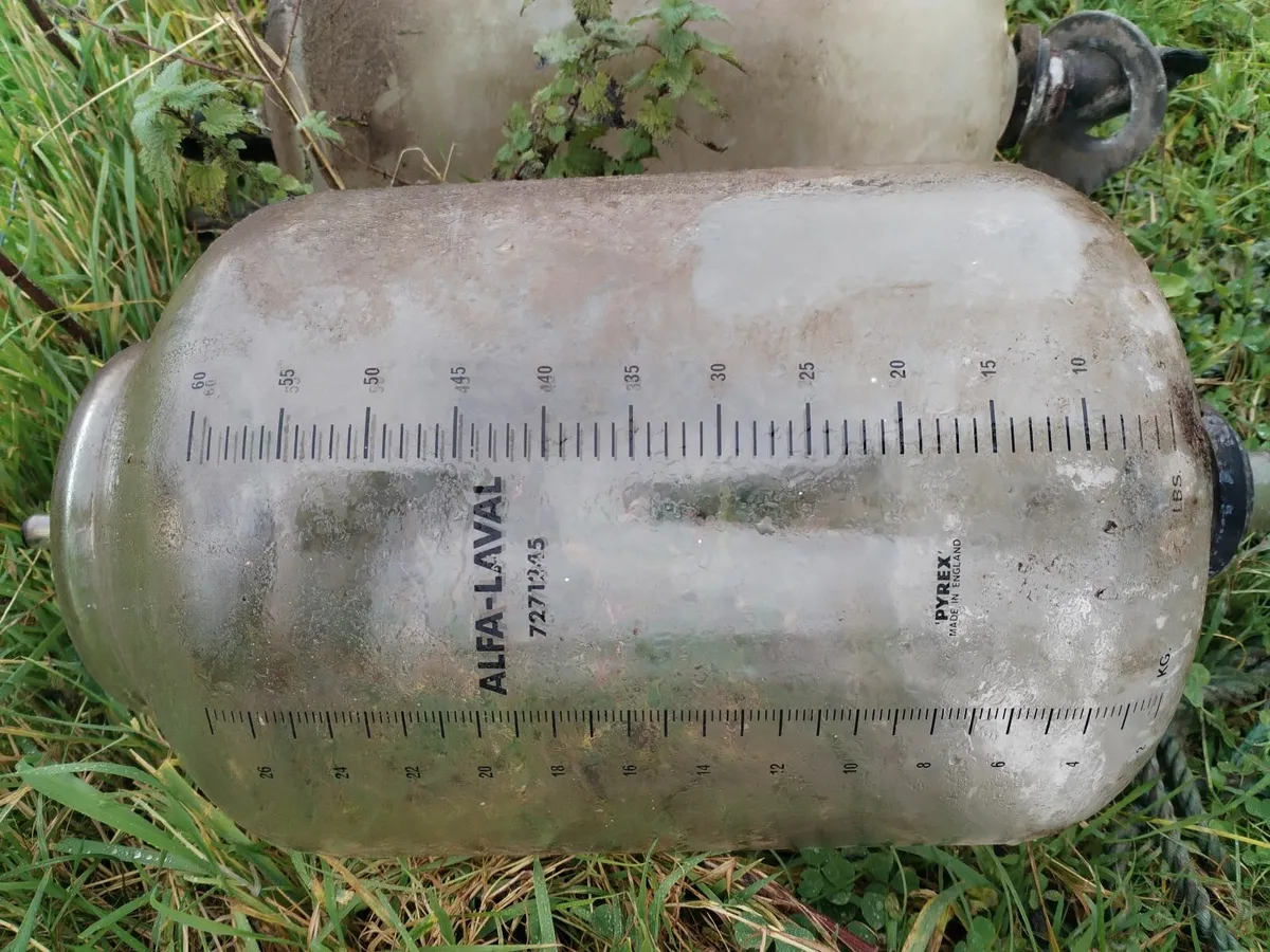 Milking parlour glass jars - Image 1
