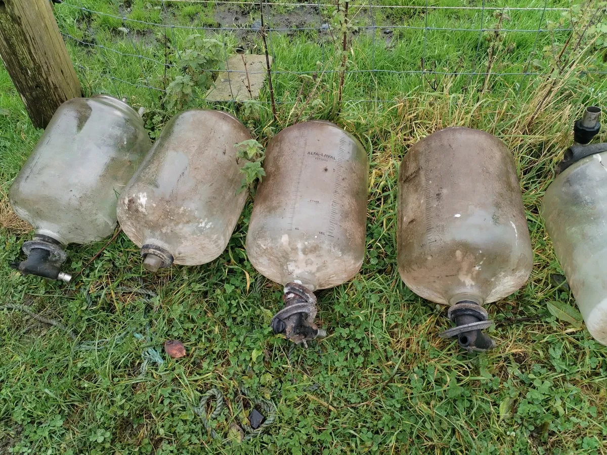 Milking parlour glass jars - Image 2