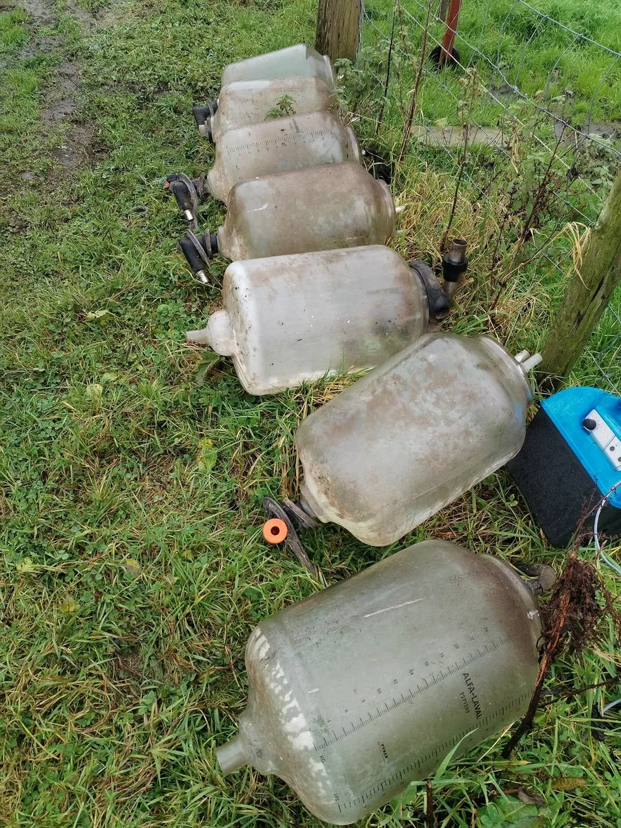 Milking parlour glass jars - Image 3
