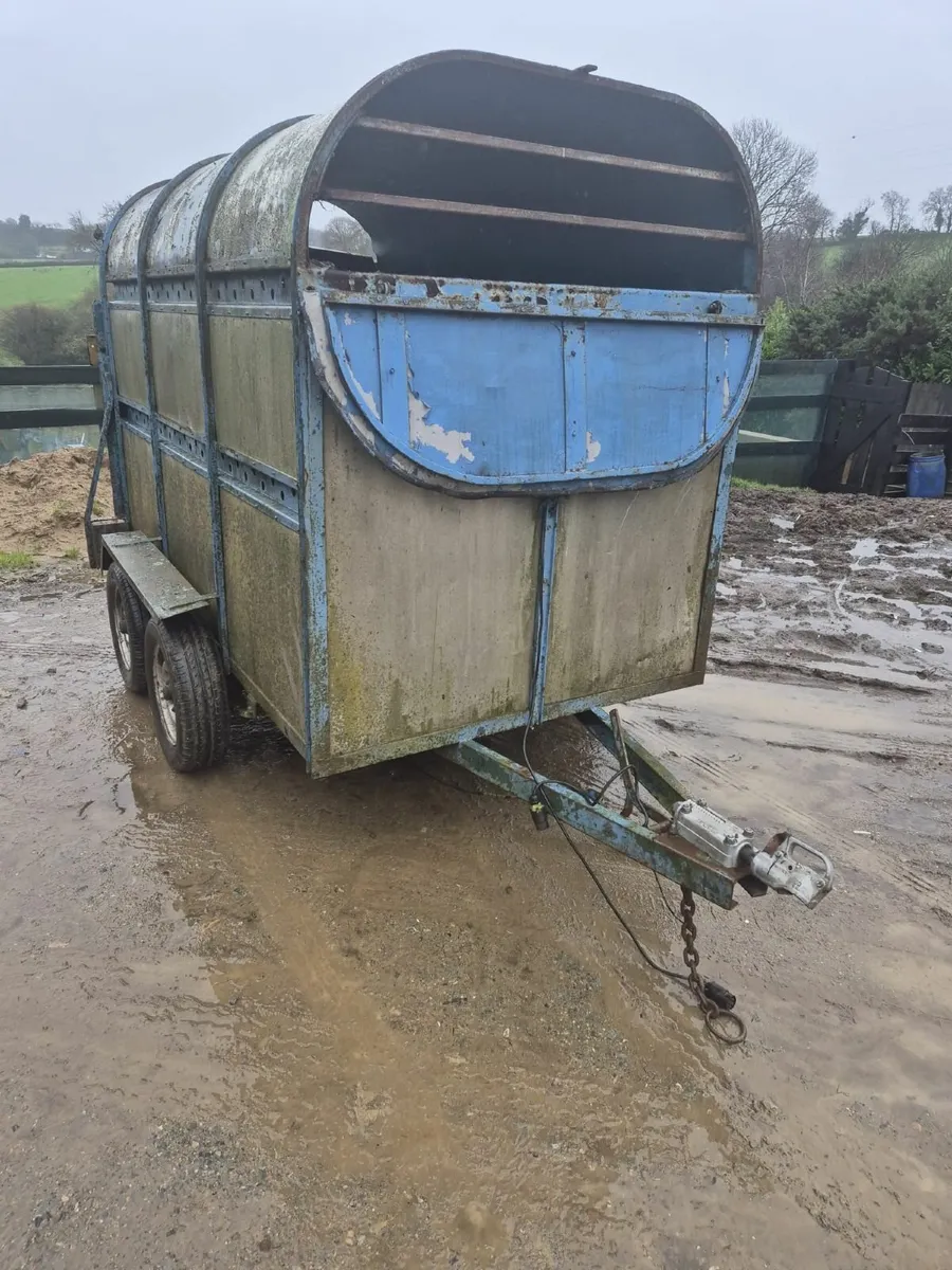 Dooley 8 x 4 cattle trailer - Image 1