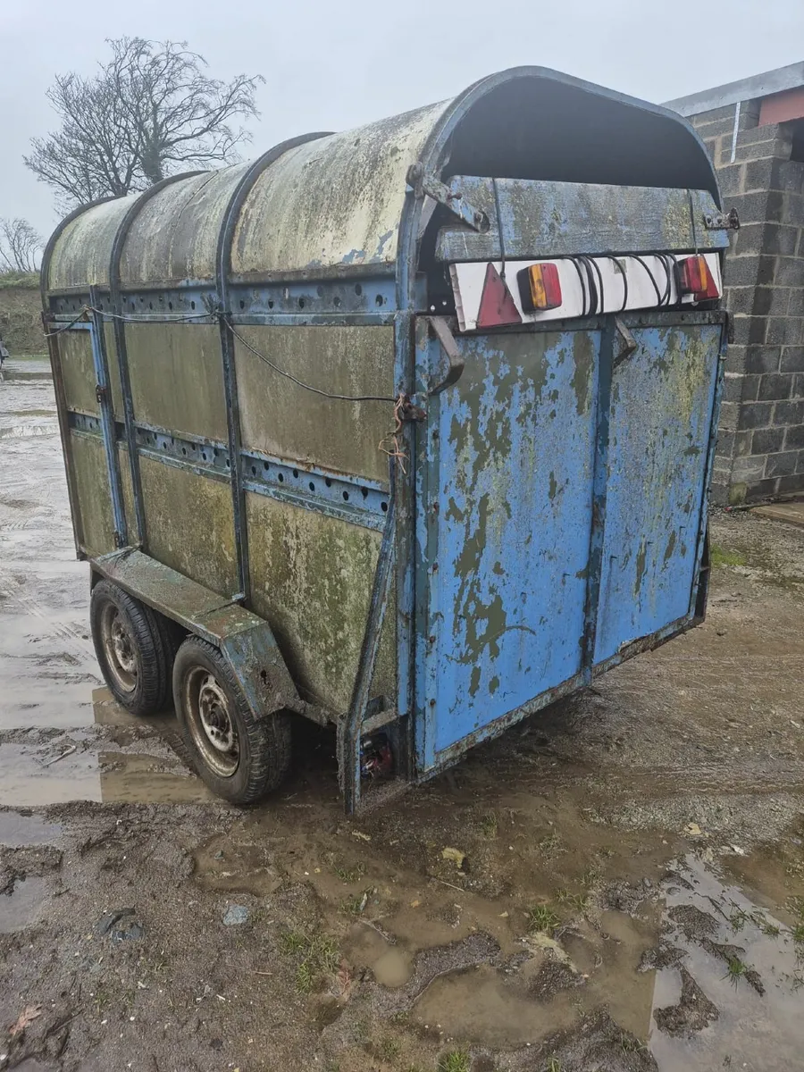 Dooley 8 x 4 cattle trailer - Image 2