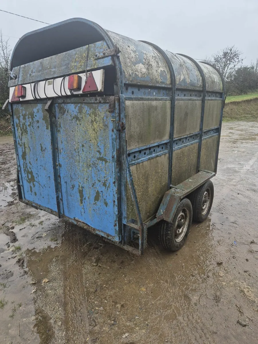 Dooley 8 x 4 cattle trailer - Image 3