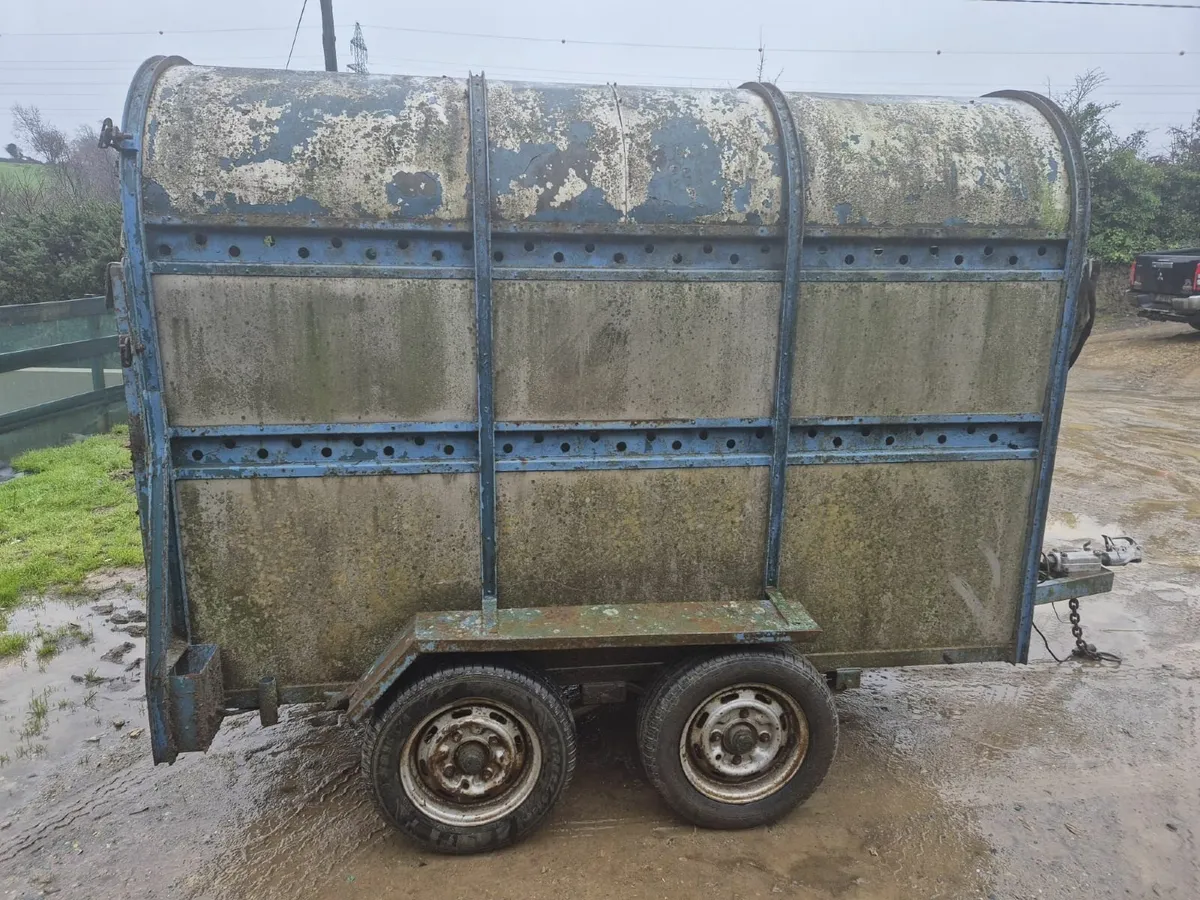 Dooley 8 x 4 cattle trailer - Image 4