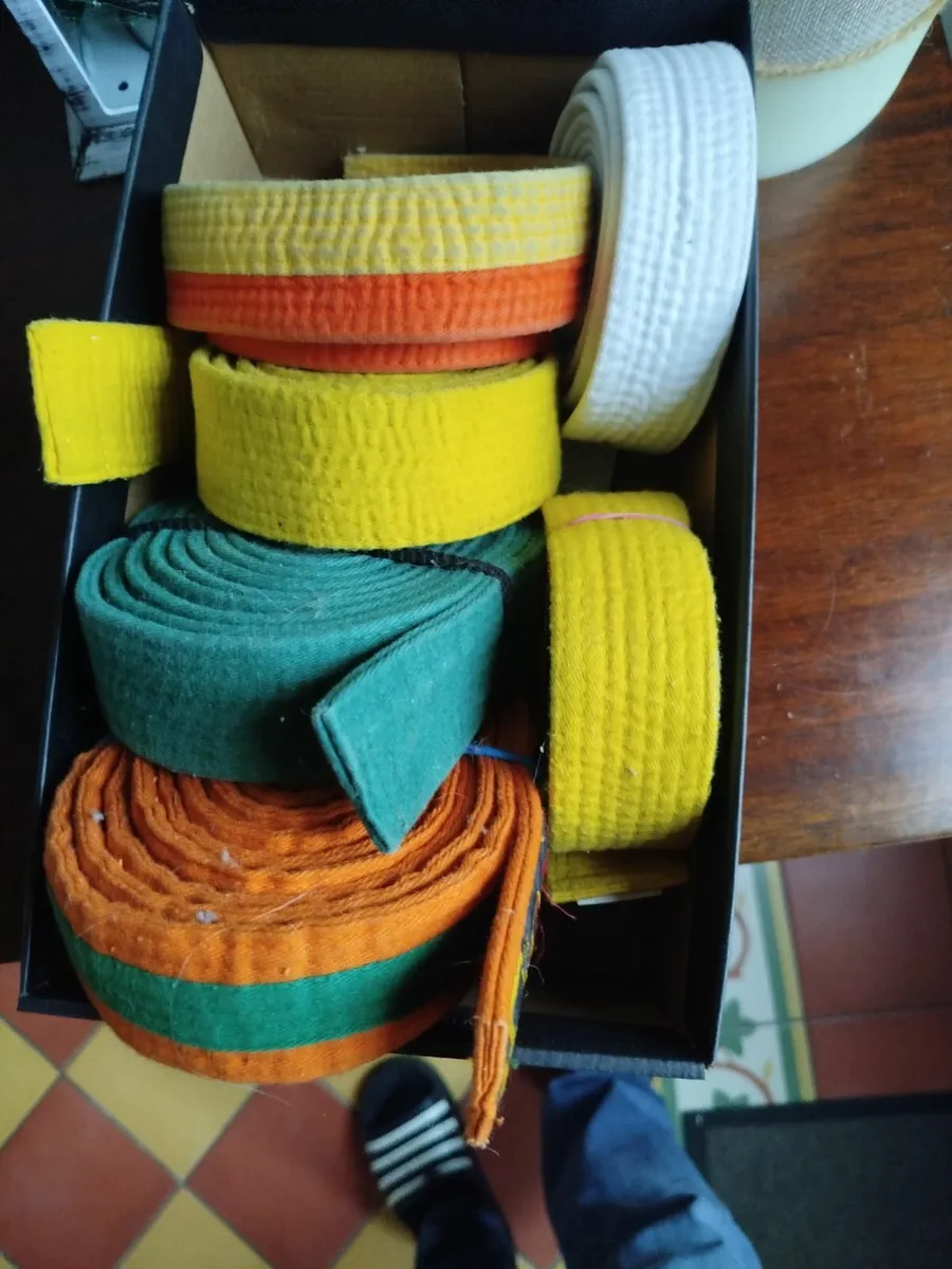 Judo Suit & Belts - Image 3