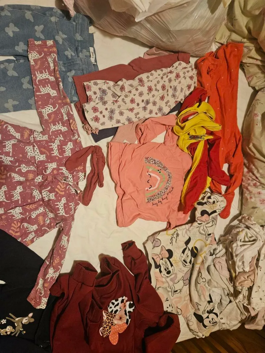 Baby girl 9 to 12 month bundle - Image 3