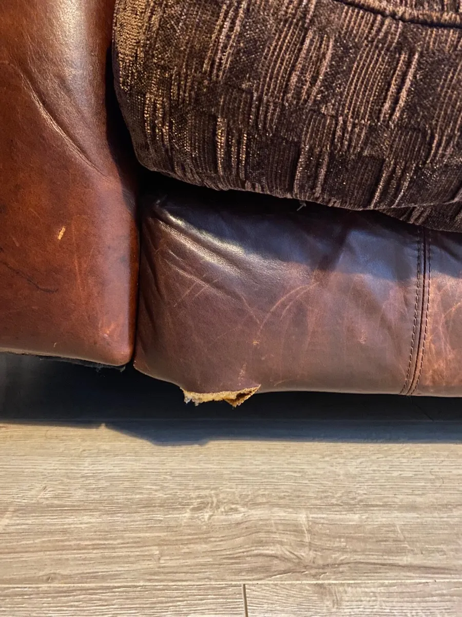 Sofa/Couch - Image 4