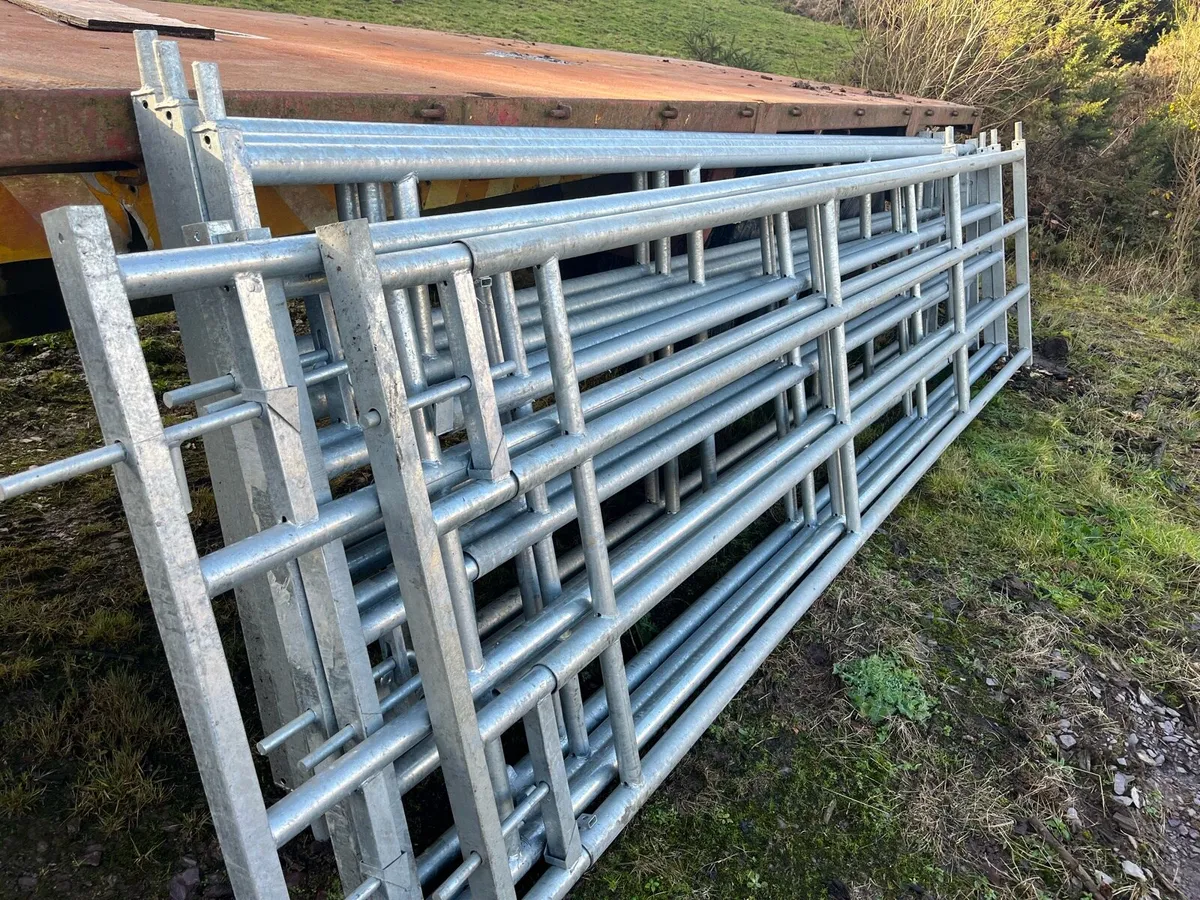 All types of expendable  gates - Image 1