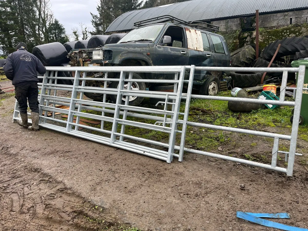 All types of expendable  gates - Image 4