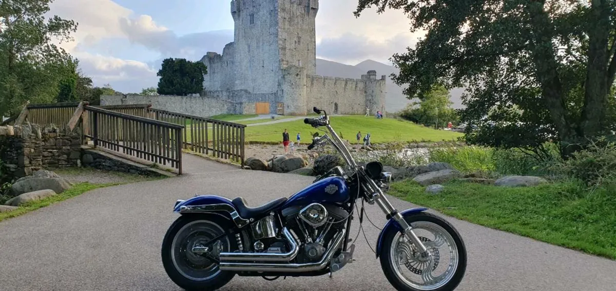 HD softail 1988 vintage - Image 4