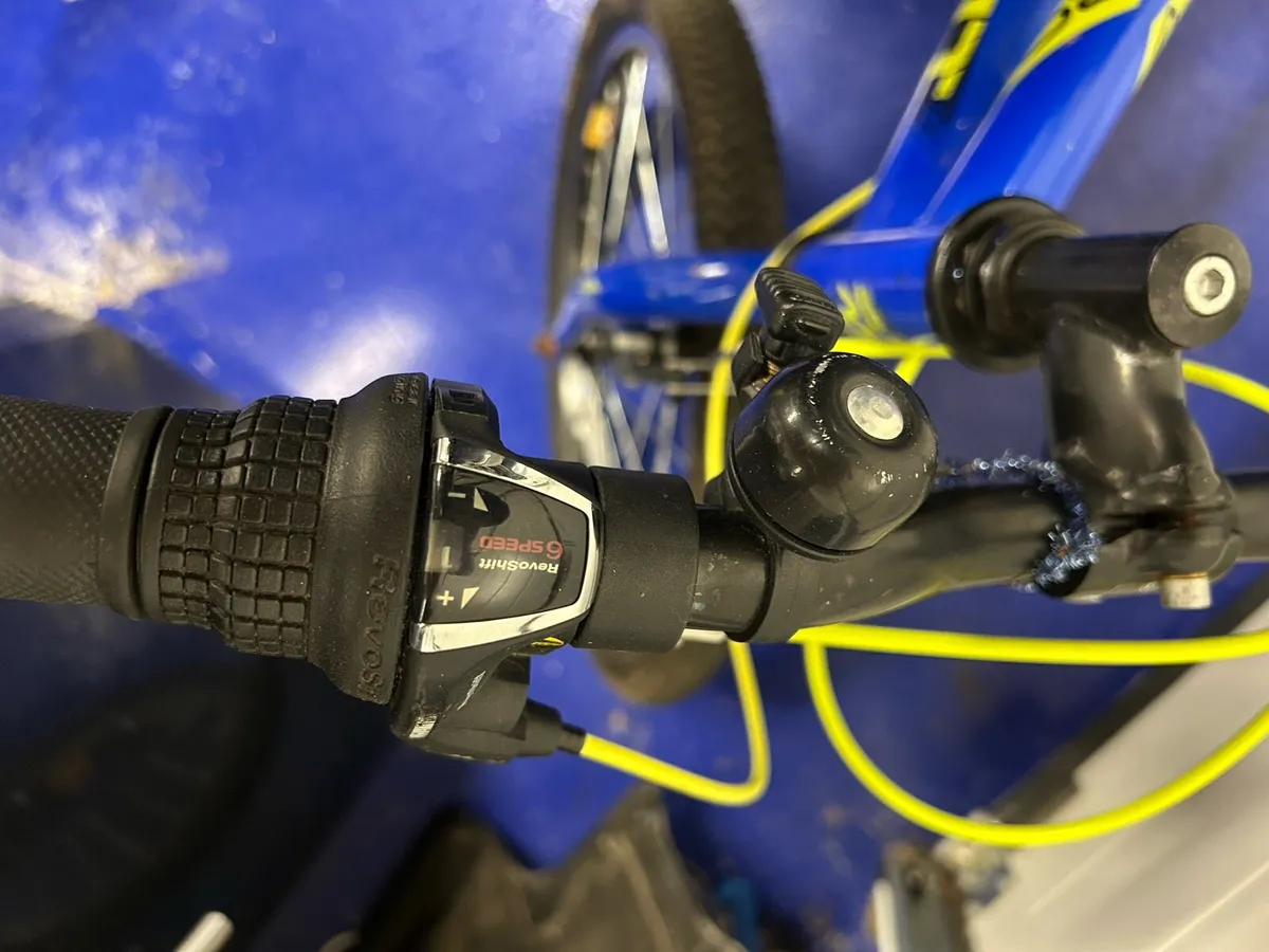 20” bike - Image 4