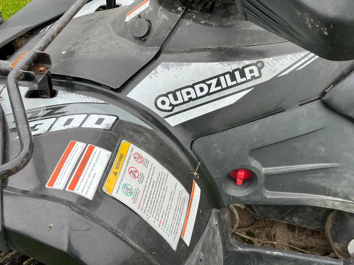 Quadzilla 300 - Image 3