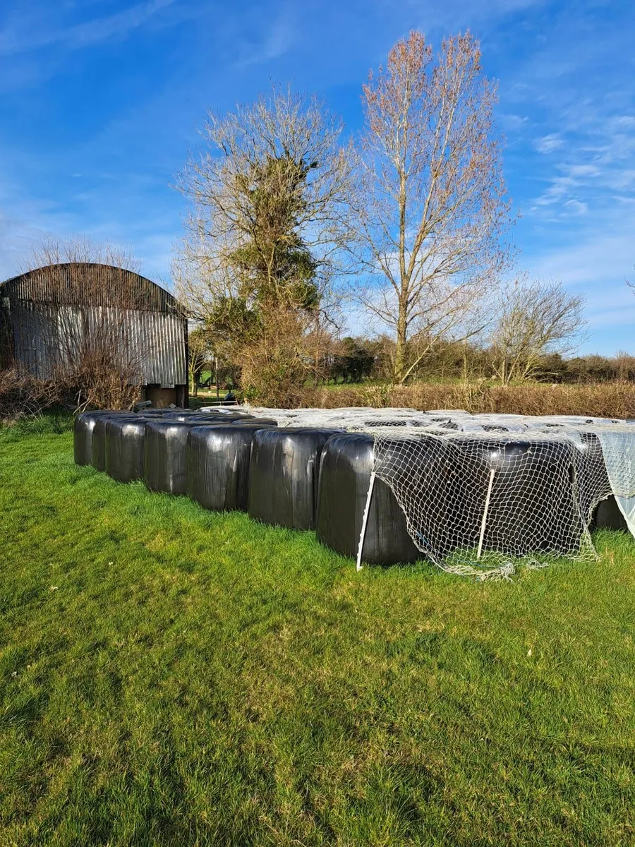 Top Quality Haylage (Suitable for Horses). - Image 1