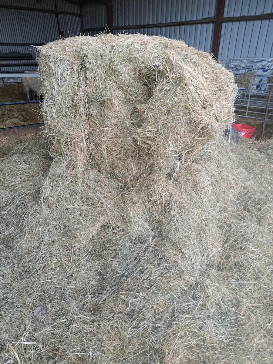 Top Quality Haylage (Suitable for Horses). - Image 2