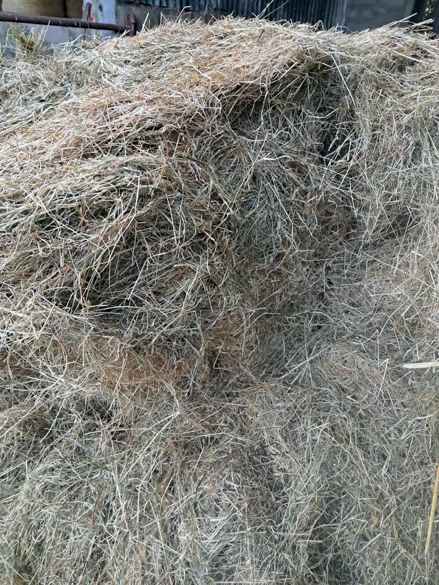 Top Quality Haylage (Suitable for Horses). - Image 3