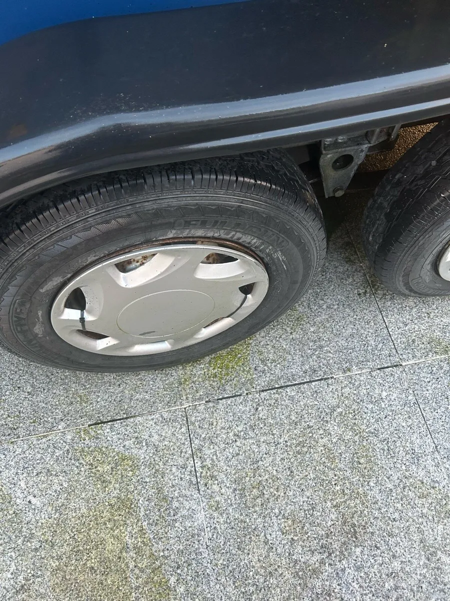 Hb 505 horse box - Image 4