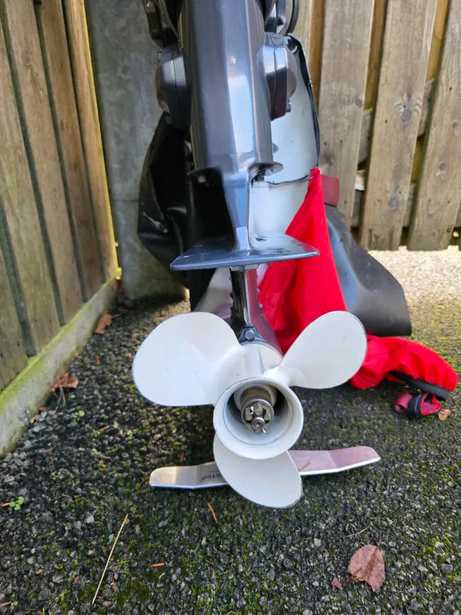 Yamaha f25 - Image 4