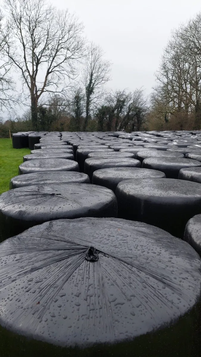 250 bales of silage - Longford Town - Image 1