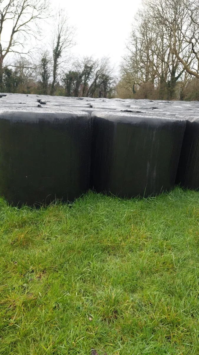 250 bales of silage - Longford Town - Image 2