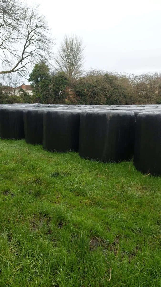 250 bales of silage - Longford Town - Image 3