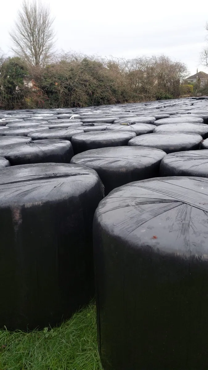 250 bales of silage - Longford Town - Image 4