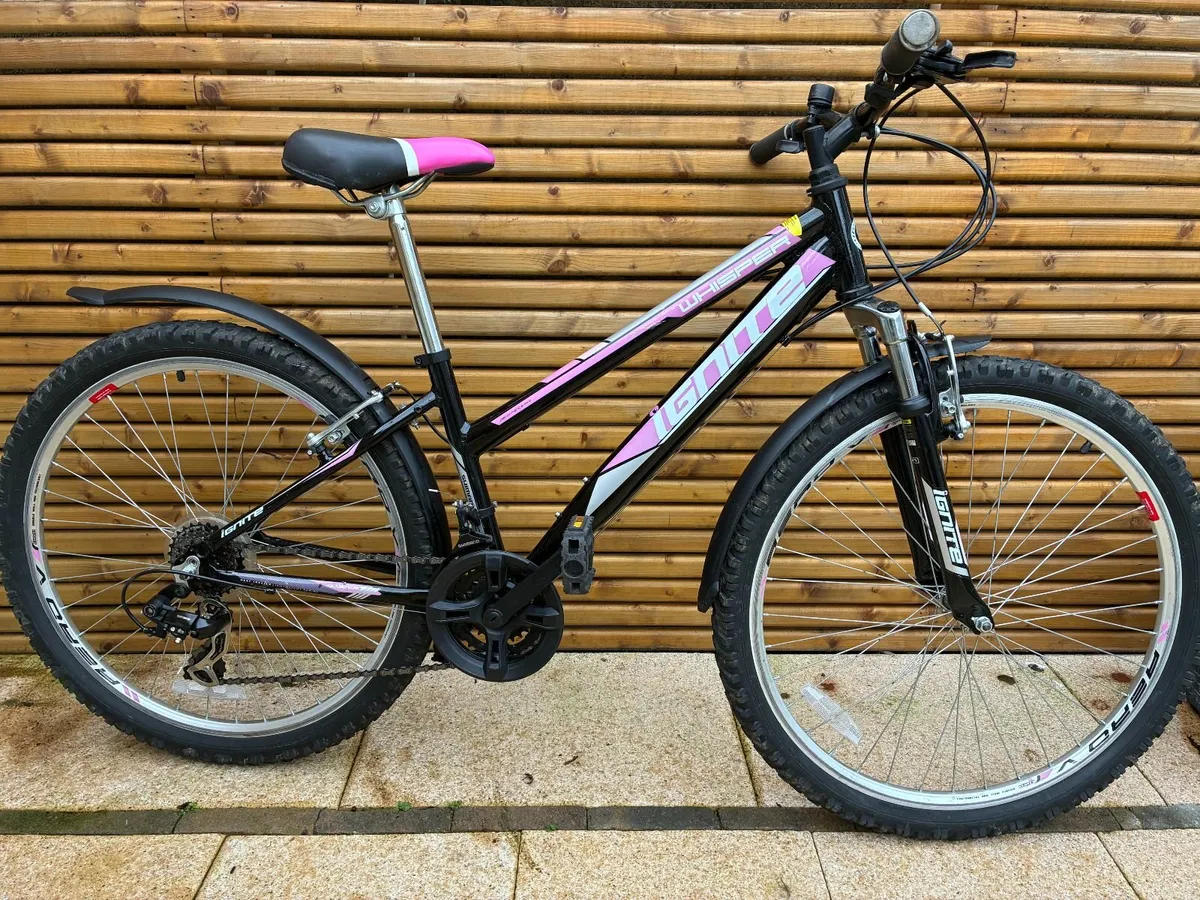 Girl's Mountain Bike - Image 2
