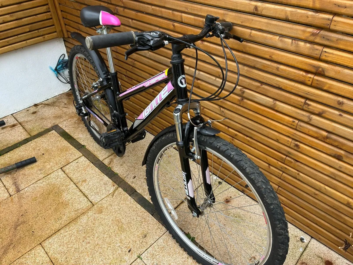 Girl's Mountain Bike - Image 3