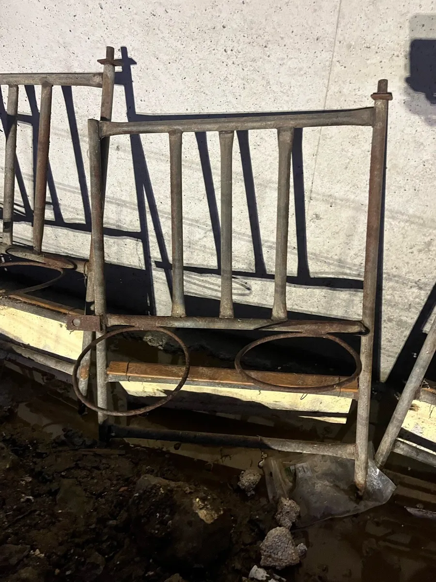 Calf pen gates - Image 3