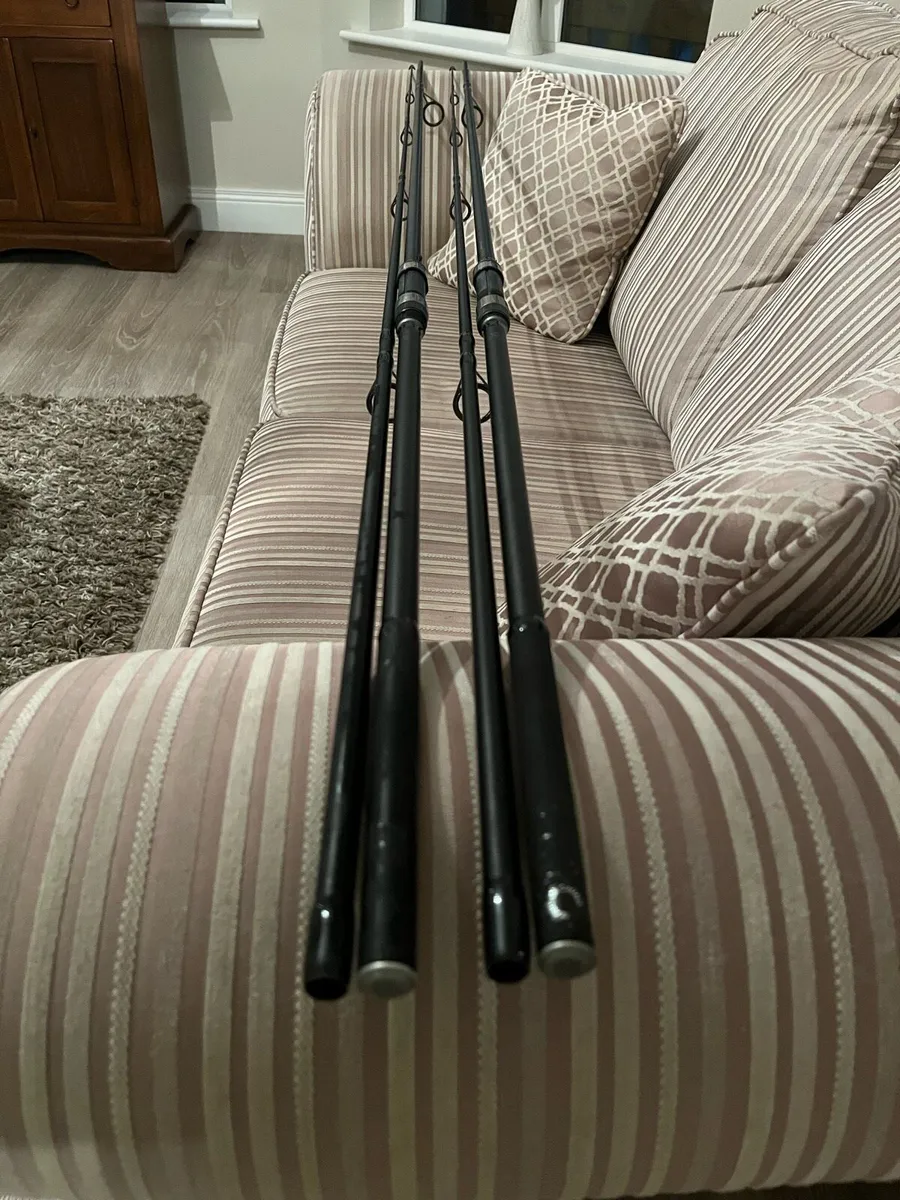 2 deadbait/carp fishing rods - Image 1