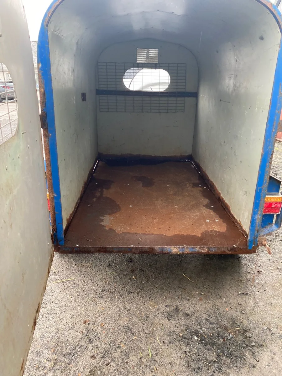 Plant trailer & dog trailer - Image 4