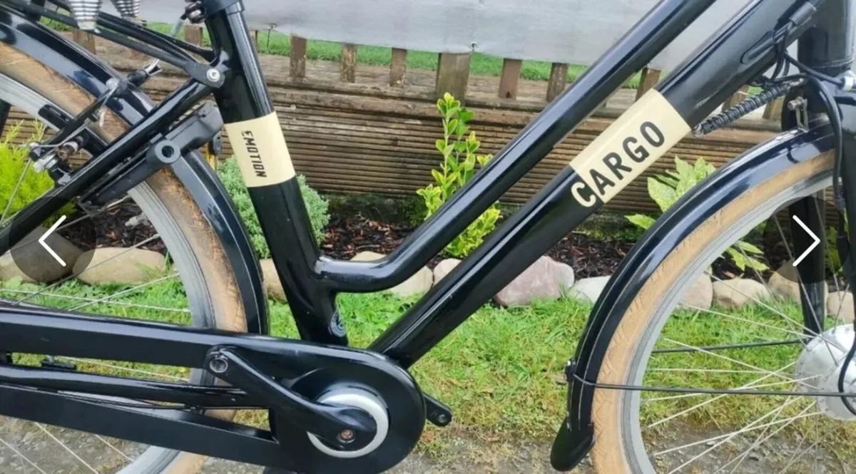 E-bike cargo cargo - Image 4