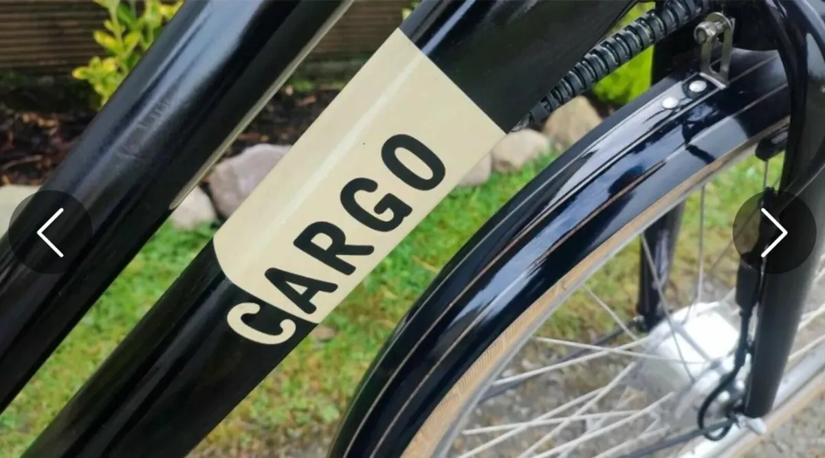 Ebike  cargo cargo - Image 3