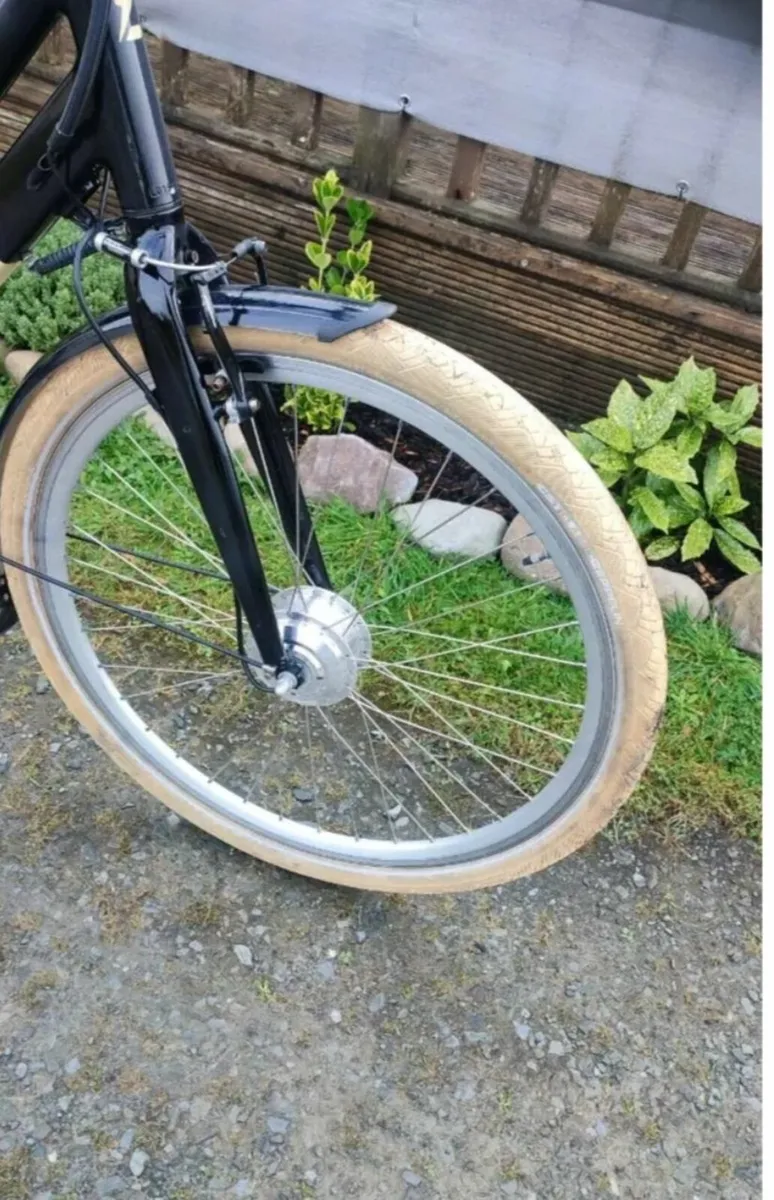 Ebike  cargo cargo - Image 4