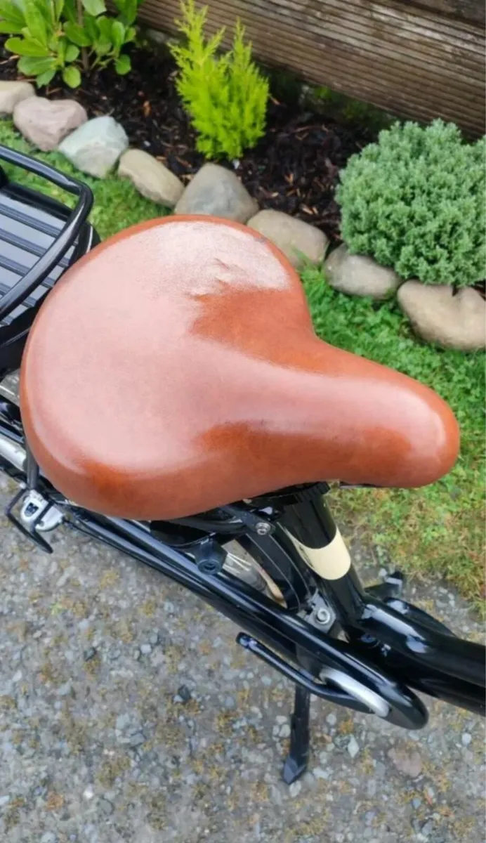 E-bike Cargo cargo - Image 3