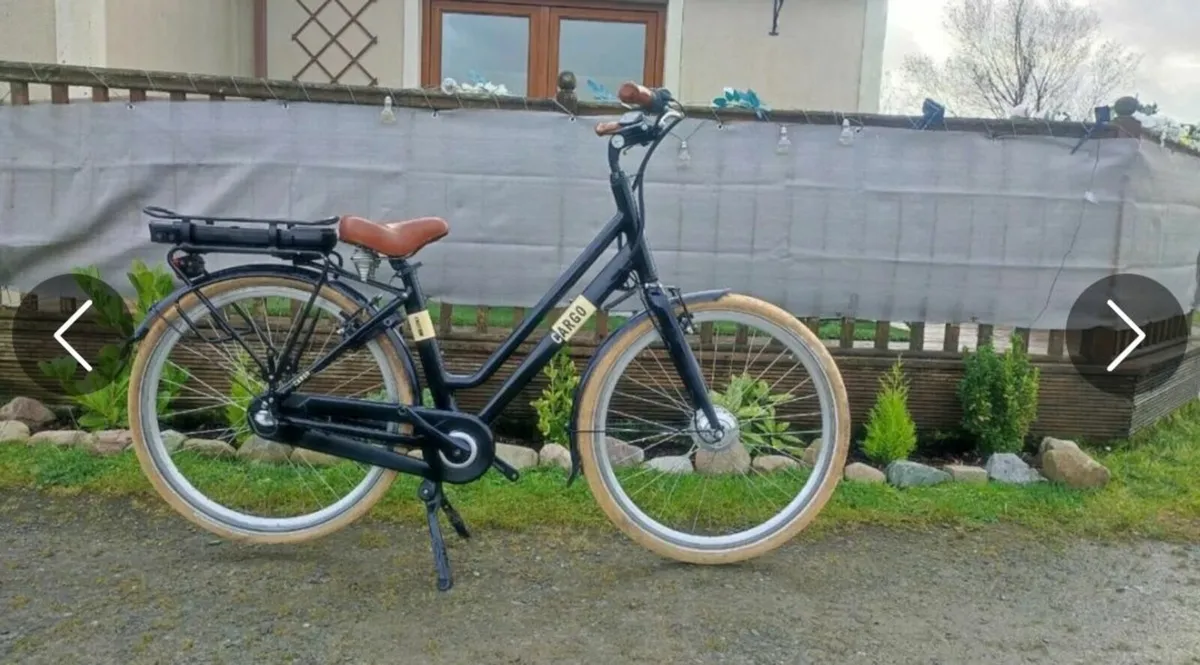 E-bike Cargo cargo - Image 4