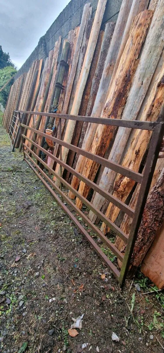 2 12ft and 1 10ft6 Gates - Image 1