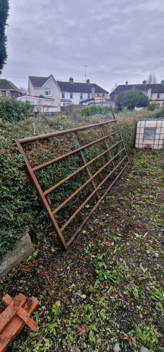 2 12ft and 1 10ft6 Gates - Image 2