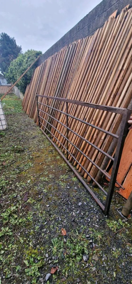2 12ft and 1 10ft6 Gates - Image 3