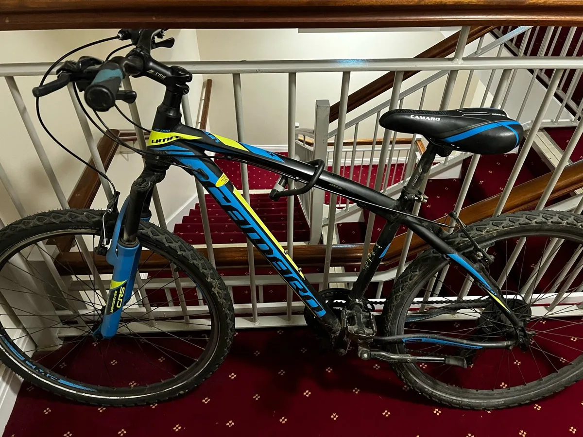 Mountain bike - Image 1