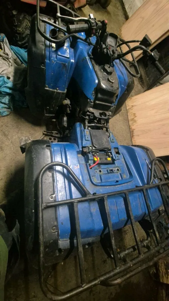 Yamma Kodiak - Image 1