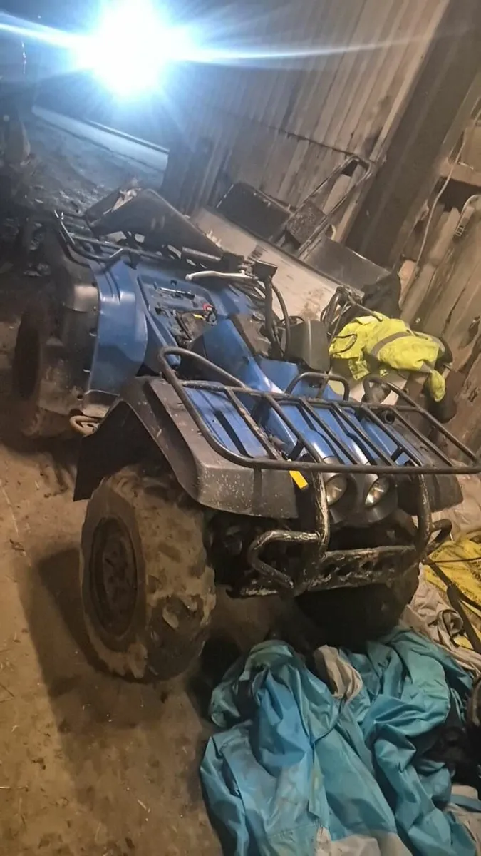 Yamma Kodiak - Image 2