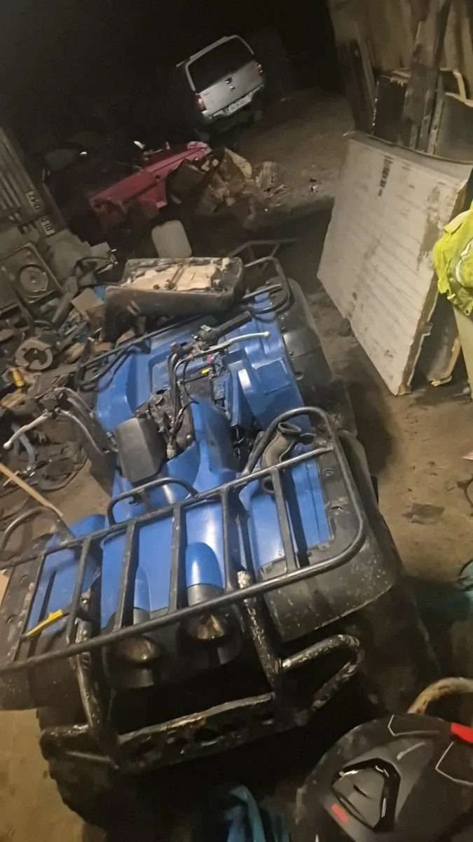 Yamma Kodiak - Image 3