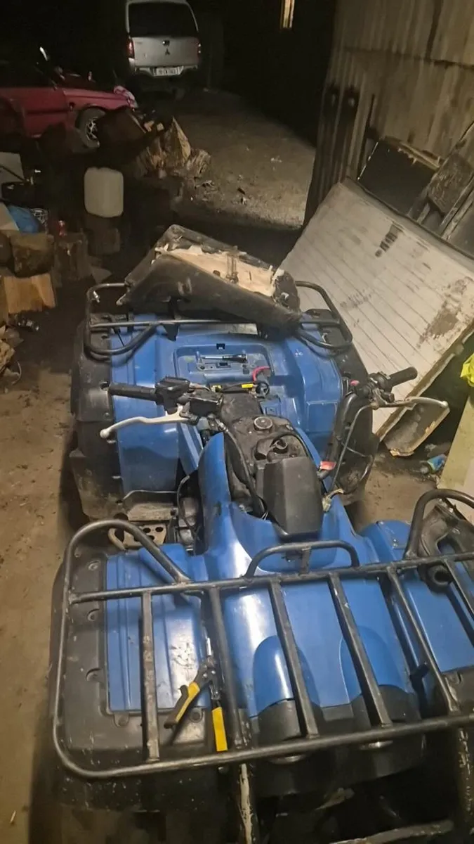 Yamma Kodiak - Image 4