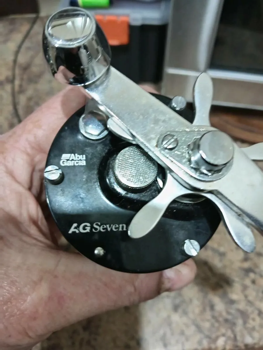 Abu ambassadeur LG7 reel - Image 3