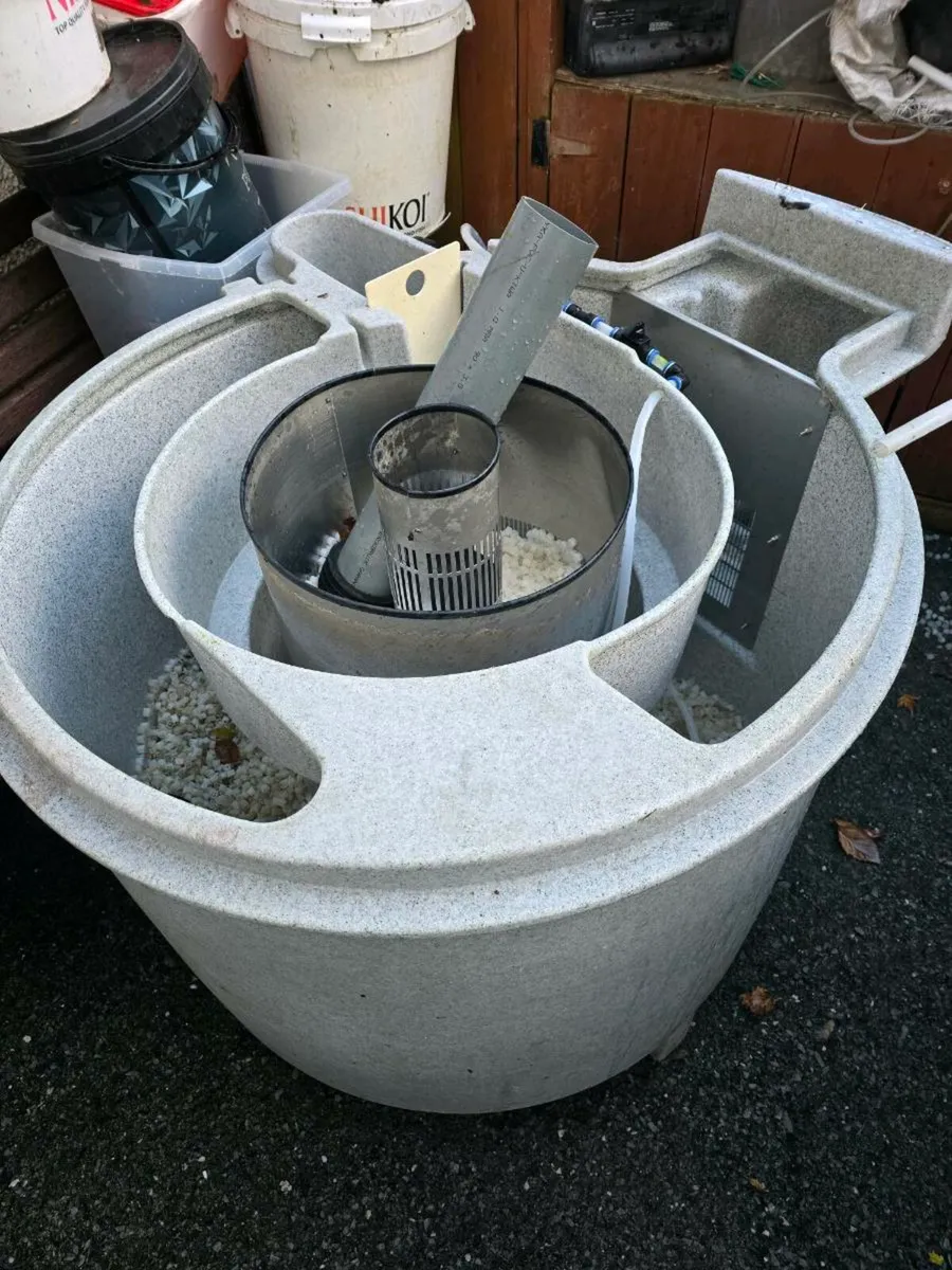 Koi fish and pong equipment - Image 1