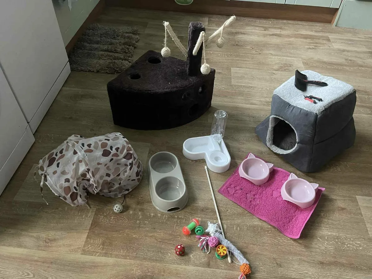 cat  and dog accessories - Image 1