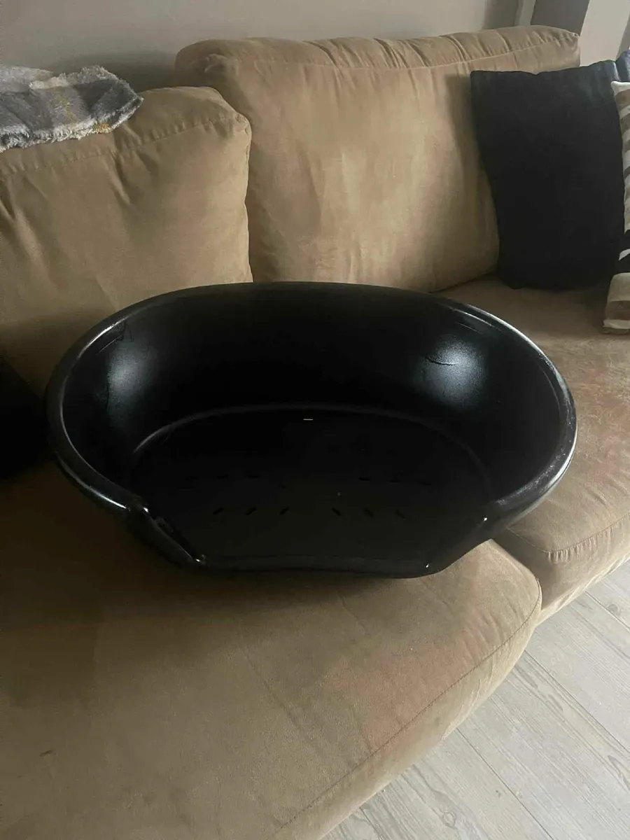 cat  and dog accessories - Image 2